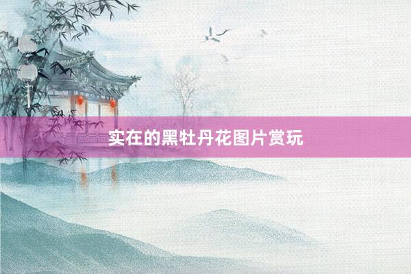 实在的黑牡丹花图片赏玩