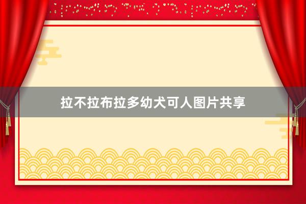 拉不拉布拉多幼犬可人图片共享