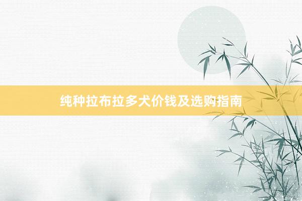 纯种拉布拉多犬价钱及选购指南