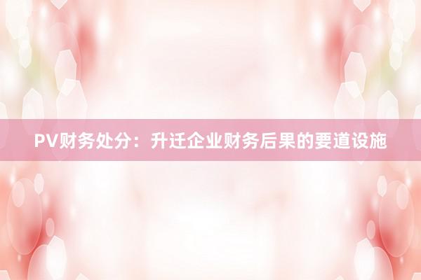 PV财务处分：升迁企业财务后果的要道设施